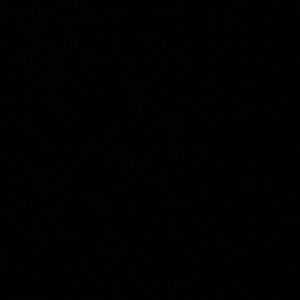 Meet your Posher, Oralia